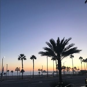 Meet your Posher, Mariah